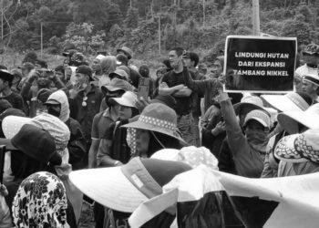 Hilirisasi Nikel, Dampak Buruk Lingkungan dan Kepentingan Para Bohir