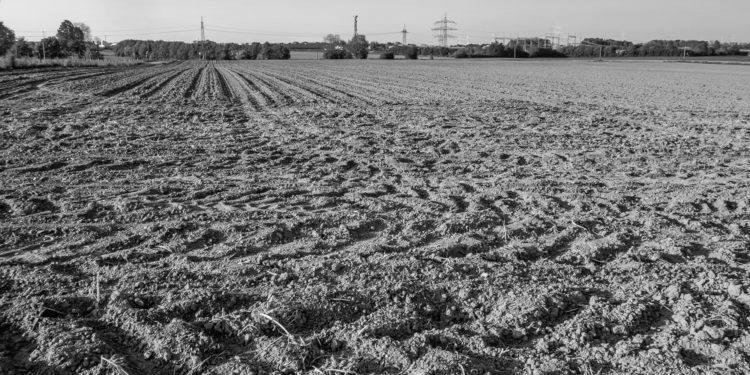 Pengadaan Tanah, Ketika Negara Kuasa dan Rakyat Merana