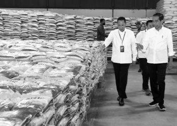 Harga Beras di Konsumen Naik Hingga 20 Persen, Tertinggi Sejak Jokowi Belum Berkuasa